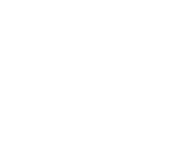 NVFS logo
